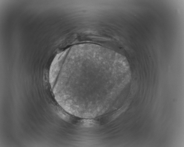 X0000080140528200701051516