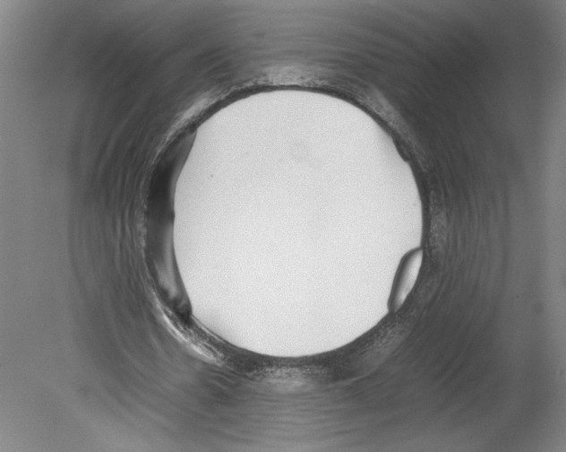 X0000080140530200701051516