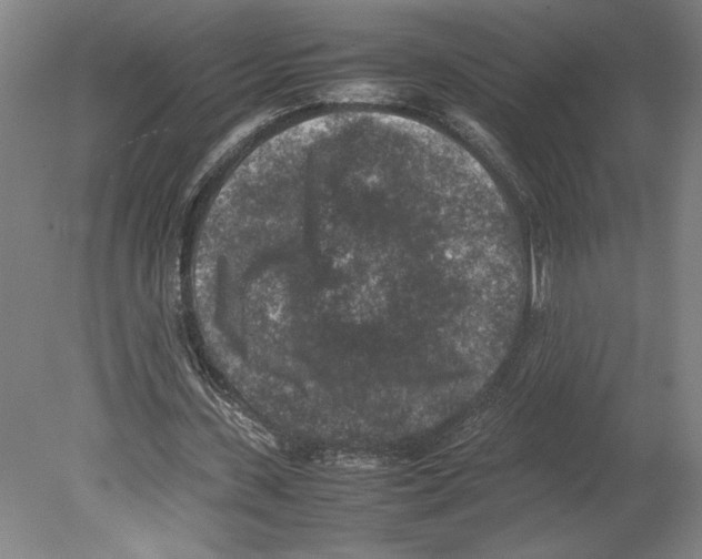 X0000080140531200701051516