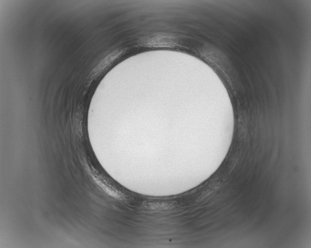 X0000080140533200701051516
