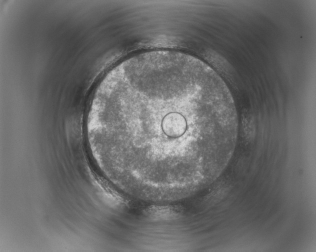 X0000080140534200701051516