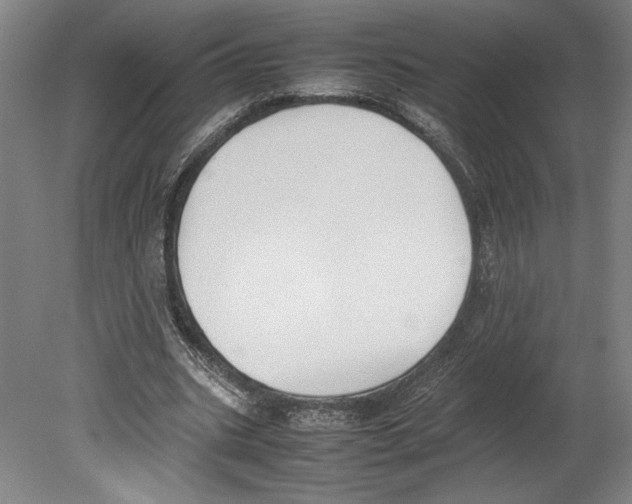 X0000080140535200701051516