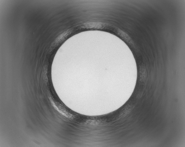 X0000080140538200701051516