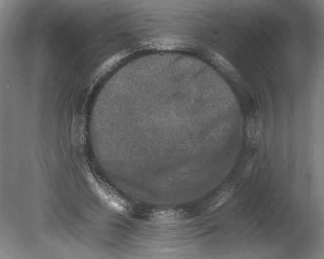 X0000080140540200701051516