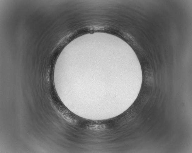 X0000080140543200701051516