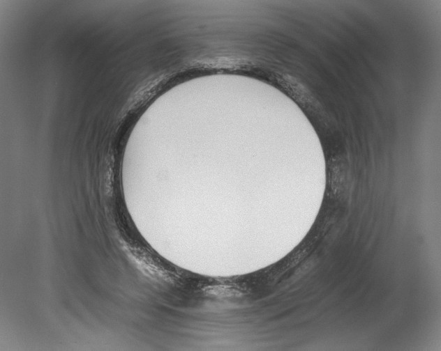X0000080140544200701051516