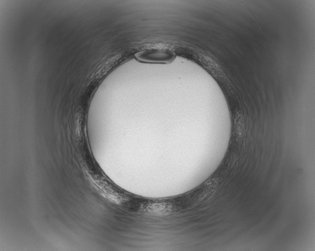 X0000080140546200701051516