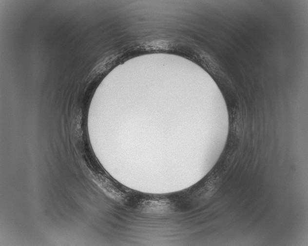 X0000080140548200701051516