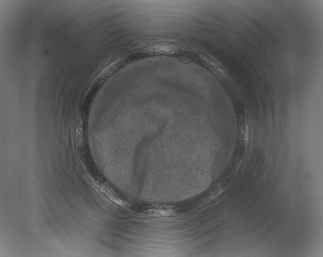 X0000080140552200701051516