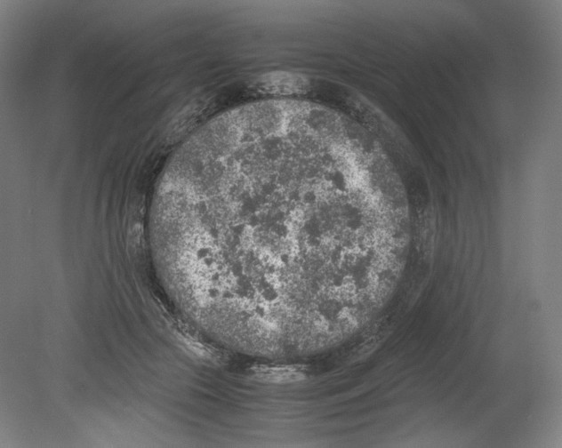 X0000080140553200701051516