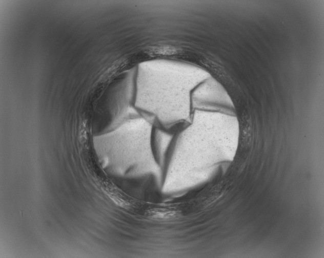 X0000080140555200701051516