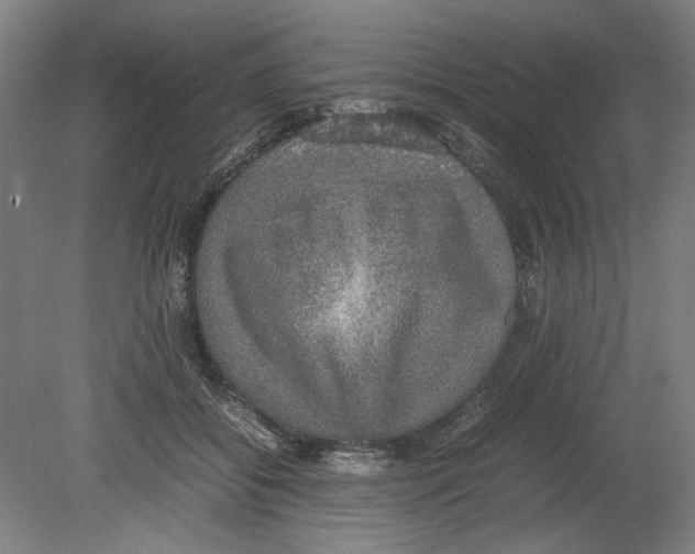 X0000080140556200701051516