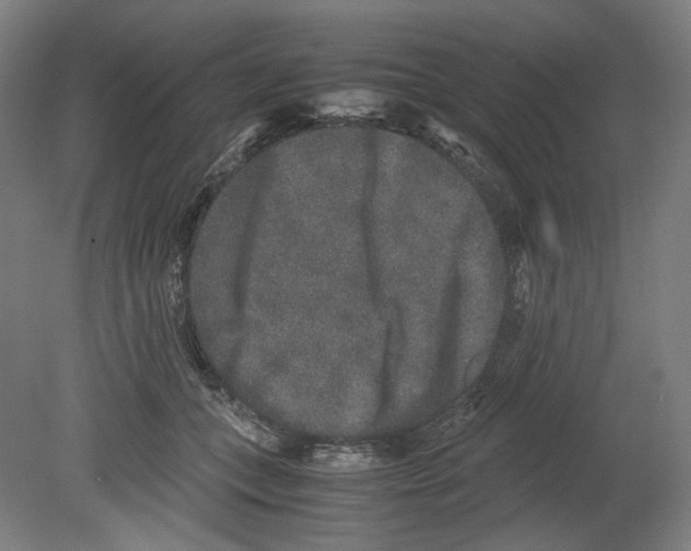 X0000080140559200701051516