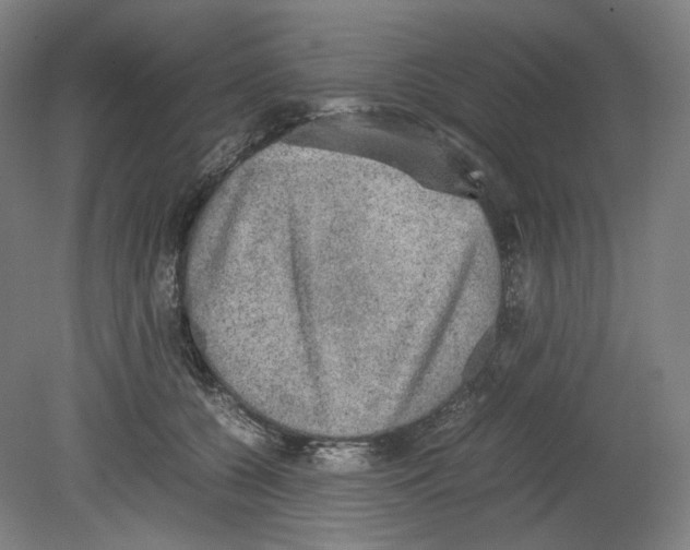 X0000080140560200701051516