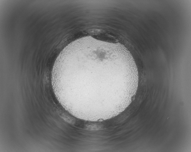 X0000080140561200701051516