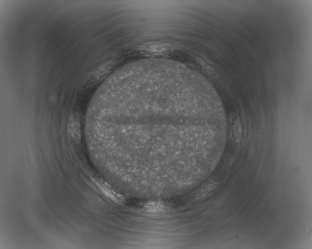 X0000080140562200701051516
