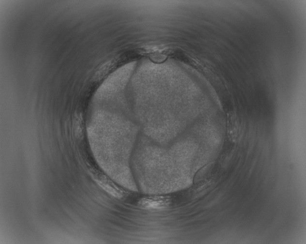 X0000080140563200701051516