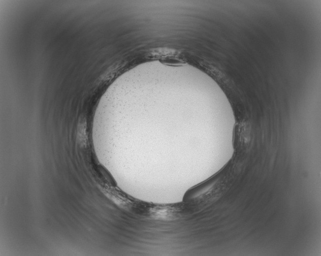 X0000080140564200701051516