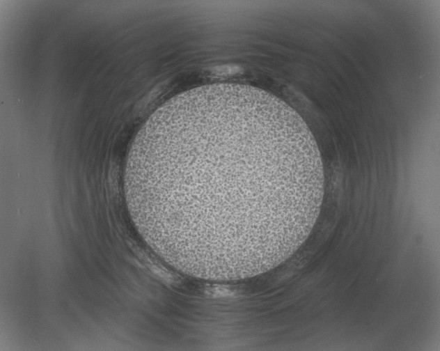 X0000080140565200701051516