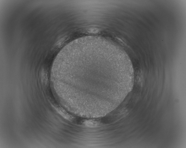X0000080140568200701051516