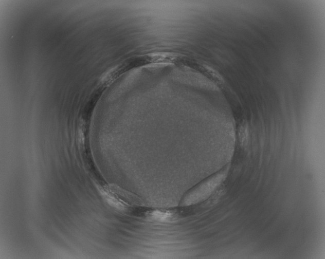 X0000080140570200701051516