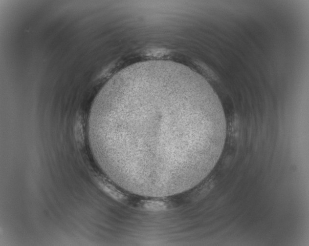 X0000080140572200701051516