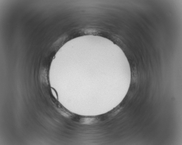 X0000080140575200701051516