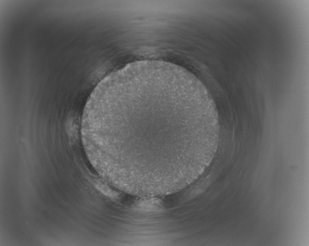 X0000080140576200701051516