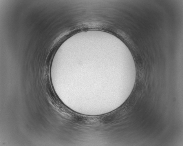 X0000080140583200701051516