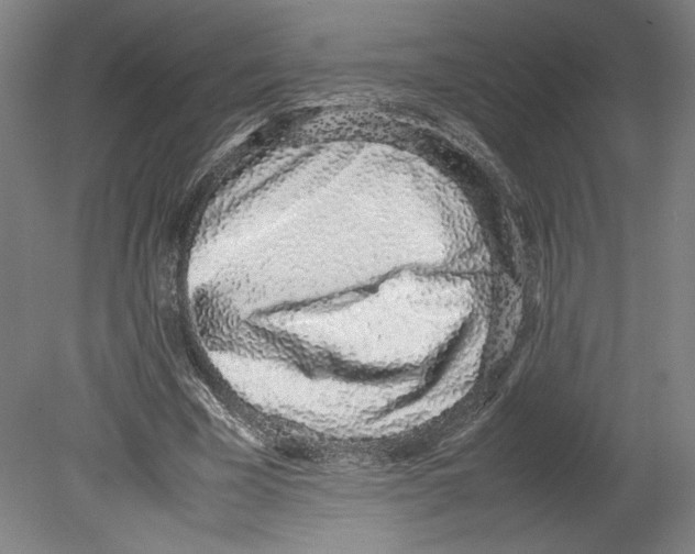 X0000080140585200701051515