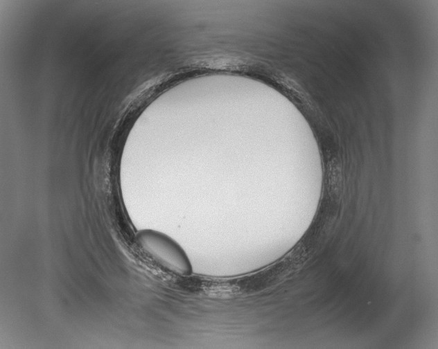 X0000080140587200701051515