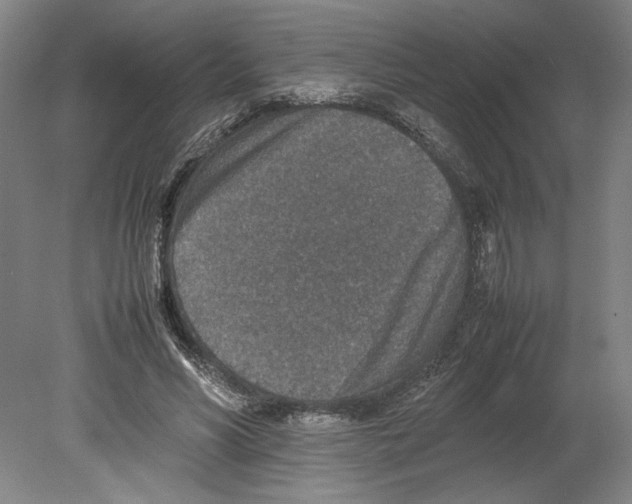 X0000080140590200701051515