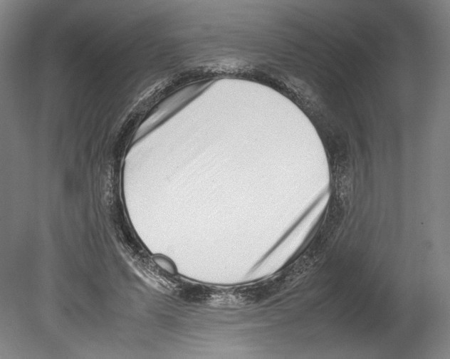 X0000080140591200701051515