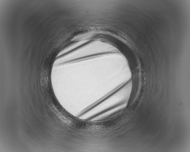 X0000080140593200701051515