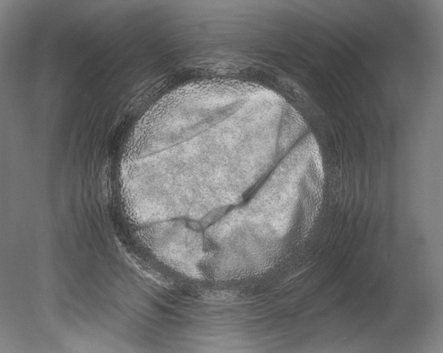 X0000080140594200701051515