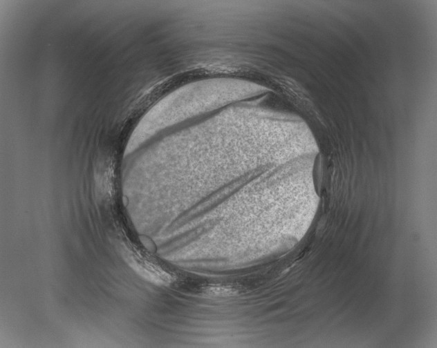 X0000080140596200701051515