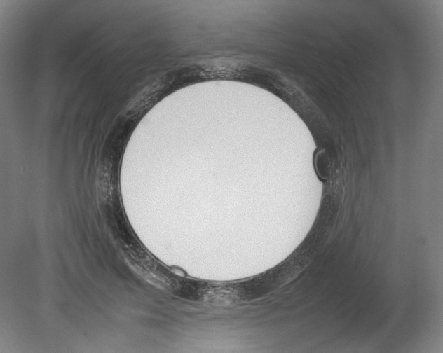 X0000080140599200701051515