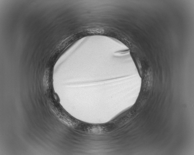 X0000080140600200701051515