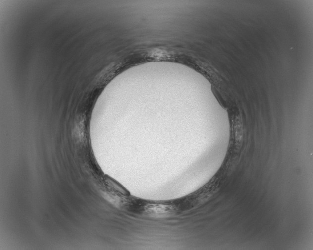 X0000080140611200701051515