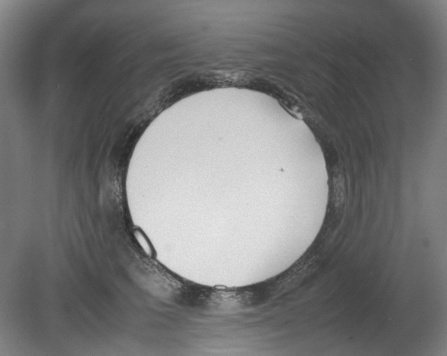 X0000080140613200701051515
