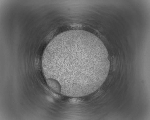 X0000080140614200701051515