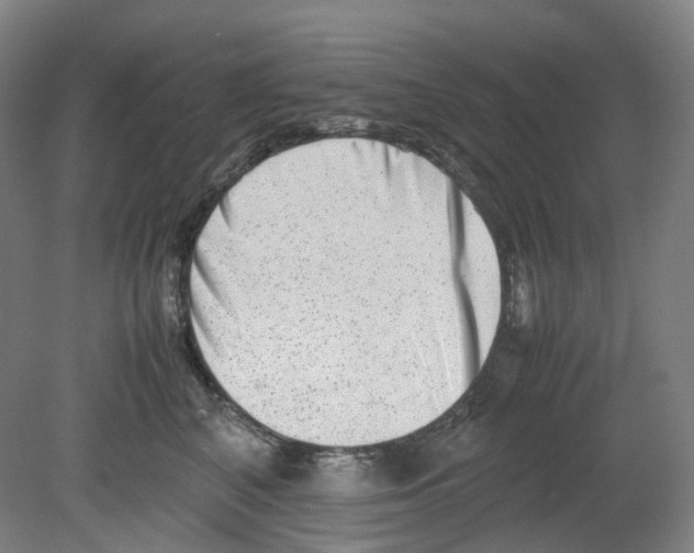 X0000080140616200701051515