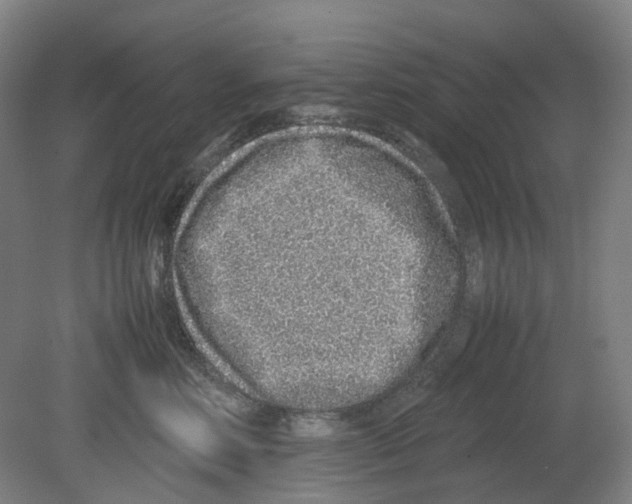 X0000080140618200701051515