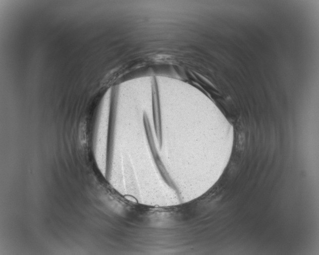 X0000080140620200701051515