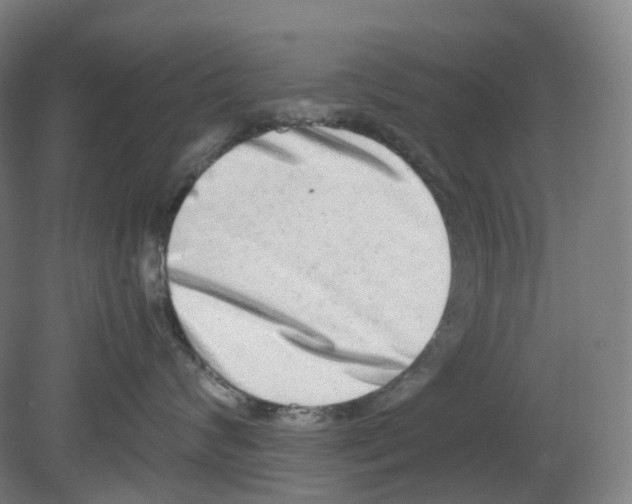 X0000080140624200701051515