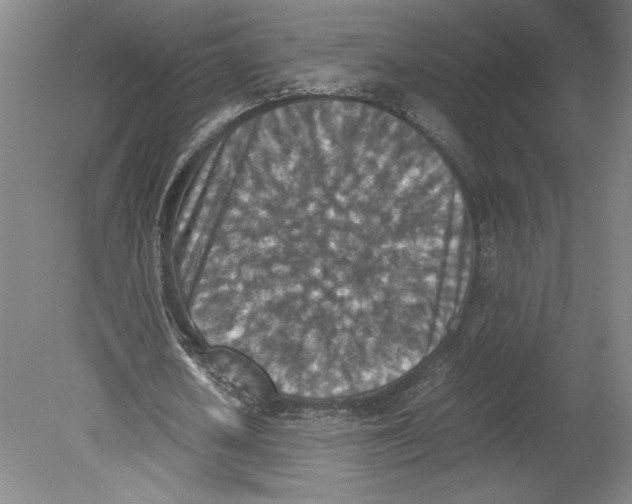 X0000080140626200701051514