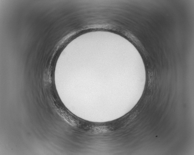 X0000080140628200701051514