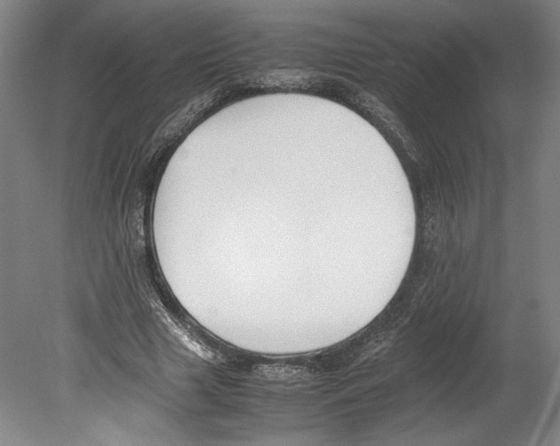 X0000080140633200701051514