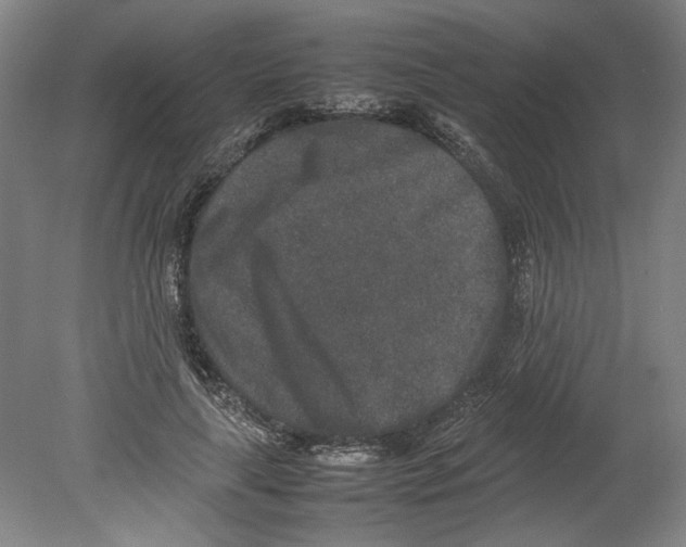 X0000080140643200701051514