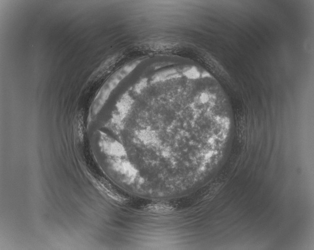 X0000080140644200701051514
